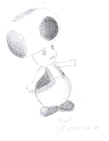 Toad